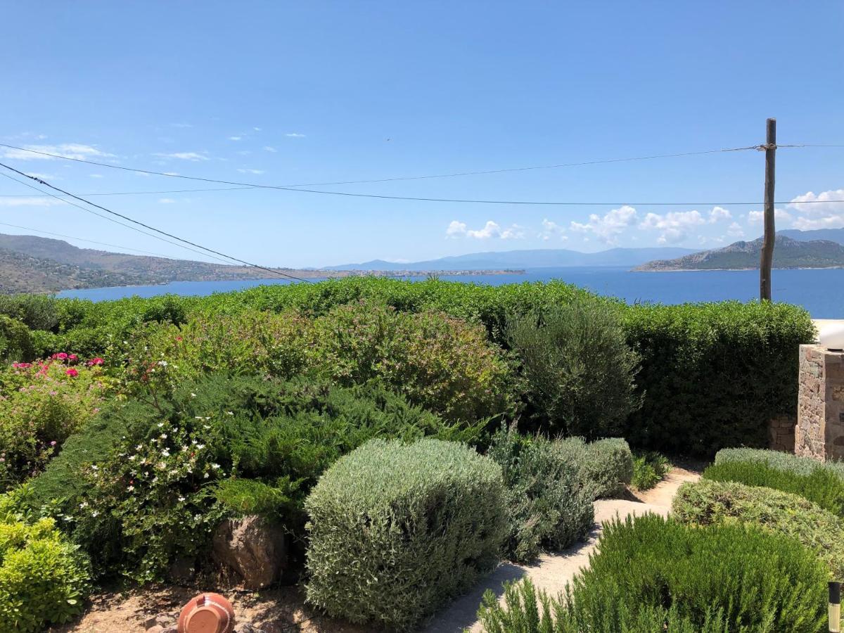 הוילה Aegina Cozy Sunset House מראה חיצוני תמונה